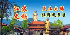 wwwww黄色狼江苏无锡灵山大佛旅游风景区
